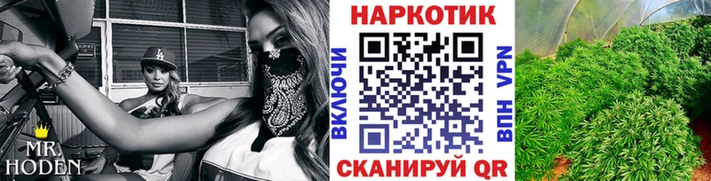 Купить наркотики цена Павловск A-PVP  АМФЕТАМИН  ссылка на мегу зеркало  ГАШИШ  Псилоцибиновые грибы  Кокаин  Мефедрон 