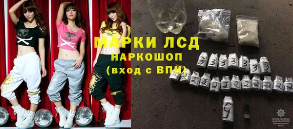 PSILOCYBIN Вяземский