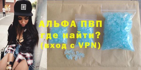 PSILOCYBIN Вяземский