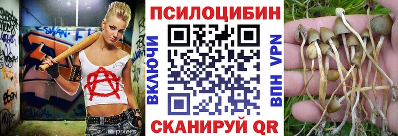 Галлюциногенные грибы мицелий  ссылка на мегу как войти  Павловск 
